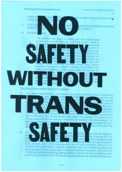 NO PRIDE WITHOUT TRANS PRIDE — Hand Screen Printed A3 Posters